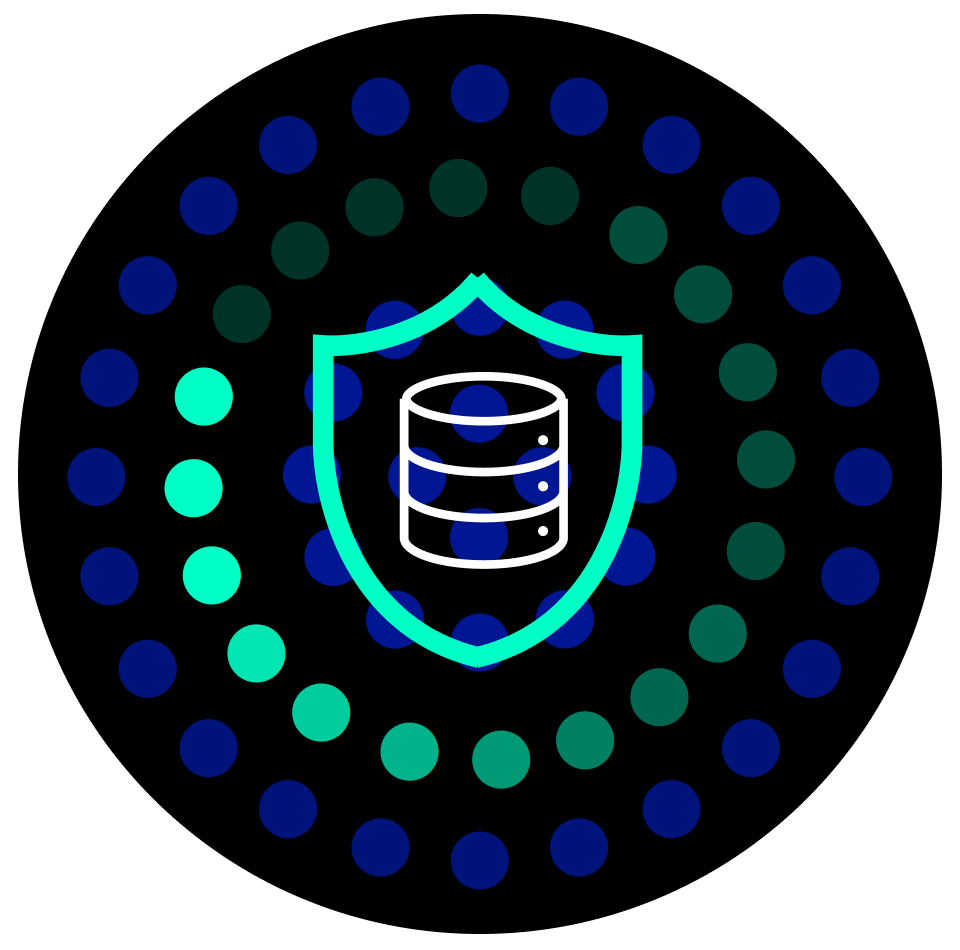 Data security with Data X-Ray